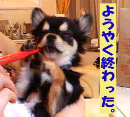 f0149420_154273.jpg