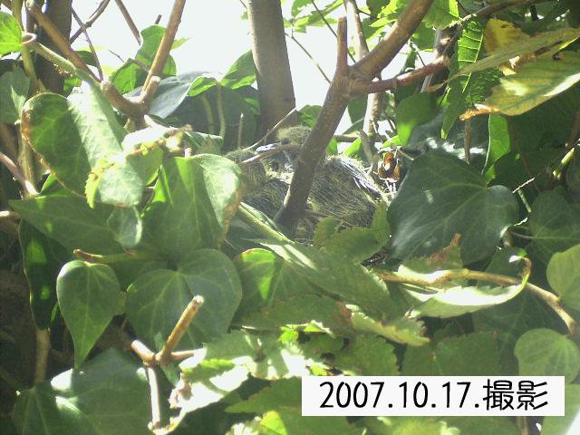 e0042626_1262591.jpg