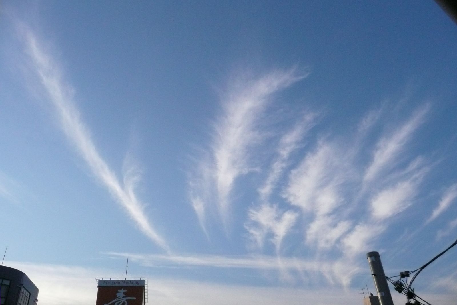 e0033229_20112778.jpg