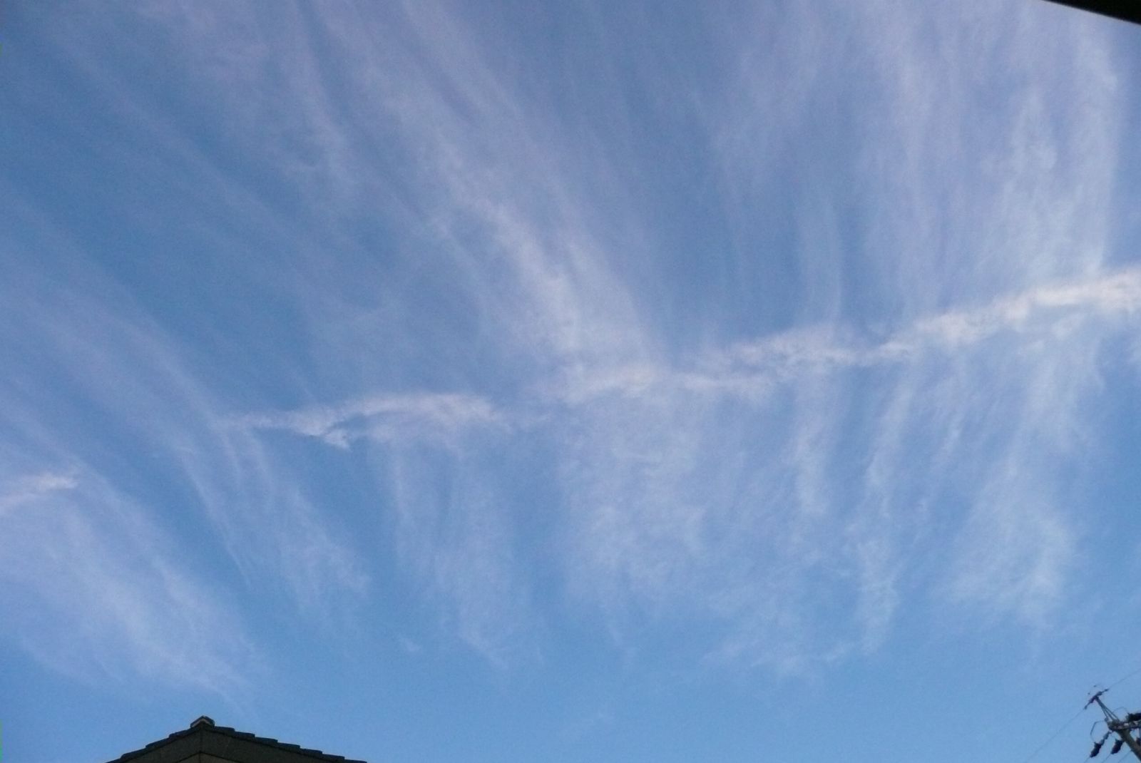 e0033229_2085371.jpg