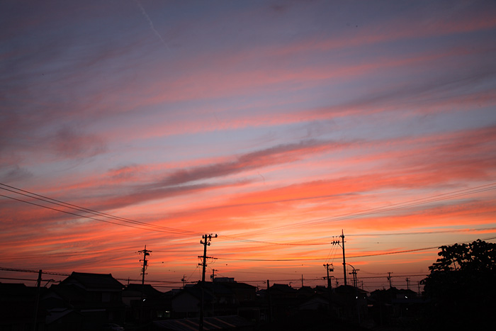 e0025930_21592868.jpg