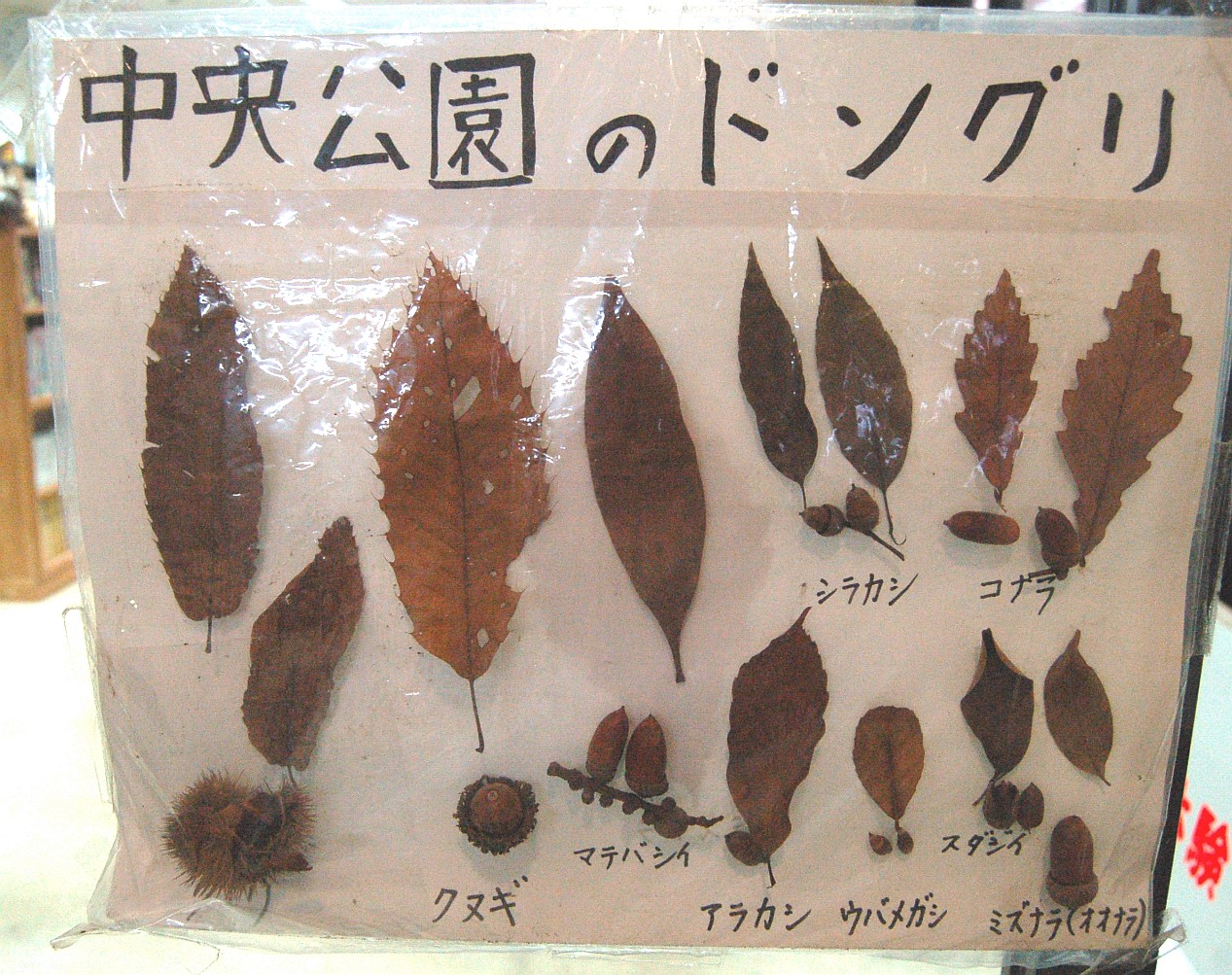 e0107030_2225462.jpg