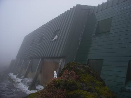 f0118332_1222031.jpg