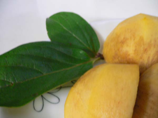 c0133533_9334247.jpg