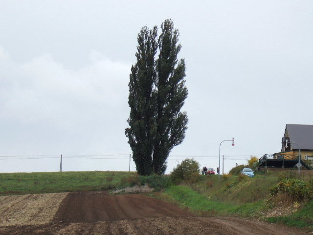 e0064133_02454100.jpg
