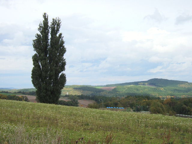 e0064133_025159.jpg