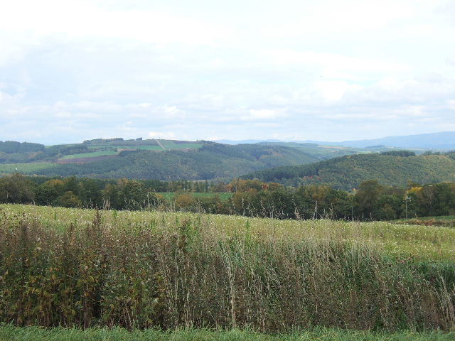 e0064133_0303841.jpg