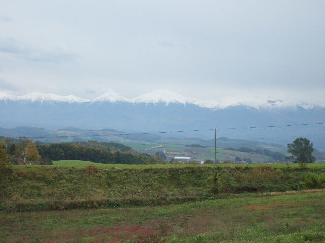 e0064133_0312665.jpg