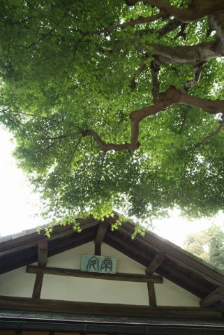 b0117437_22275674.jpg