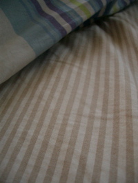 f0110840_9173114.jpg