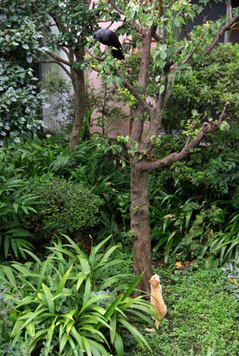 f0149442_17335442.jpg