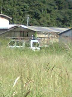e0111346_13362090.jpg