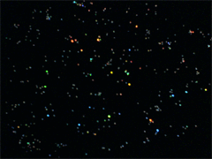 e0005548_0475145.gif