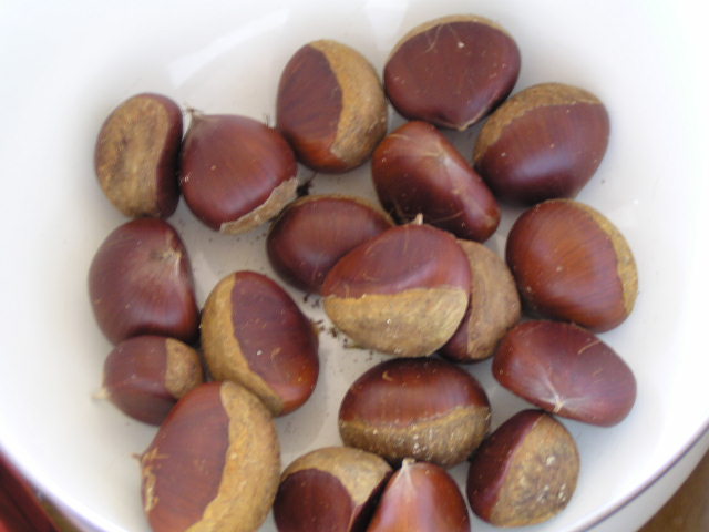 f0074659_2252887.jpg