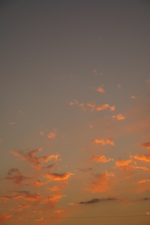 a0091666_189594.jpg