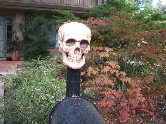 c0115366_23231126.jpg