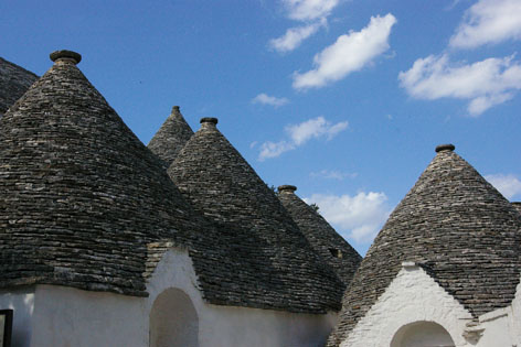 d0064366_8105327.jpg