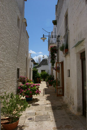 d0064366_8135015.jpg