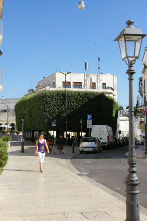 d0064366_818825.jpg