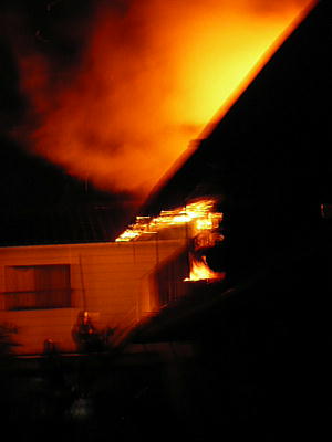 f0050468_9222659.jpg