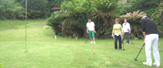 f0060671_3452646.jpg