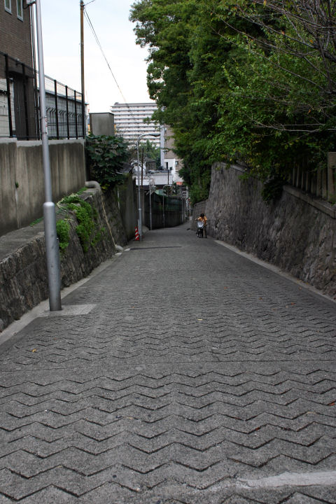 d0079373_2382633.jpg