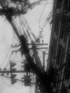 f0100480_207951.jpg