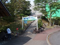 c0105785_955261.jpg