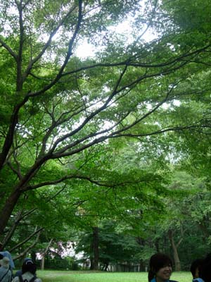 e0008586_1622141.jpg