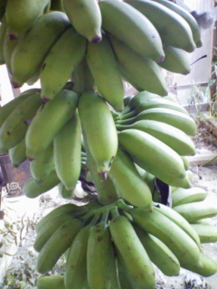 f0155990_19593377.jpg