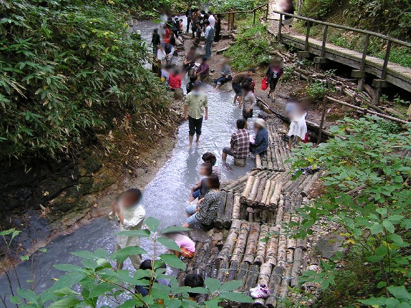 a0067991_921478.jpg