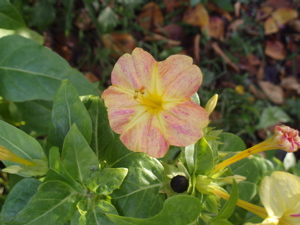 f0130894_20344321.jpg