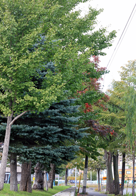 f0001895_164846100.jpg