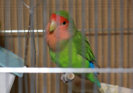 c0118496_2314182.jpg