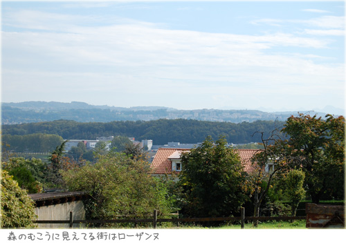 a0034198_18524229.jpg