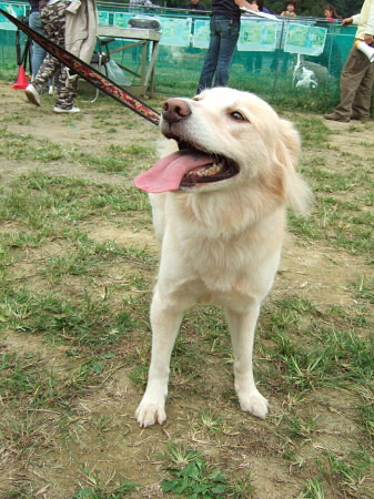 c0044199_1134231.jpg