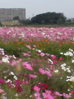 a0101000_17533219.jpg