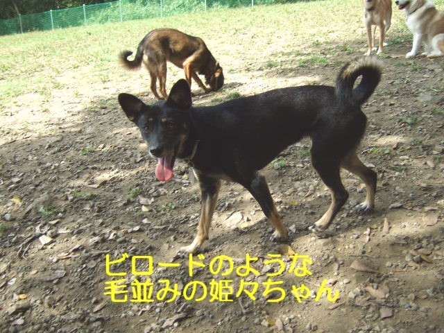 b0087400_0314522.jpg