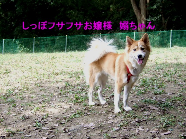 b0087400_075958.jpg