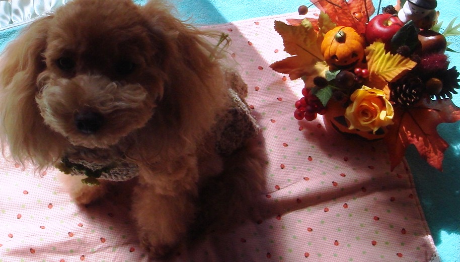 c0041207_1222237.jpg
