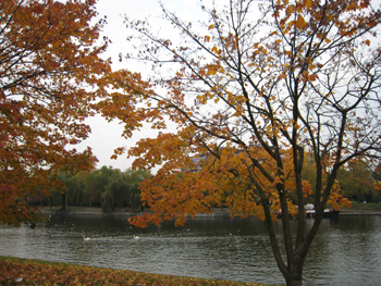 e0038811_19281423.jpg