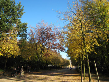 e0038811_19353611.jpg