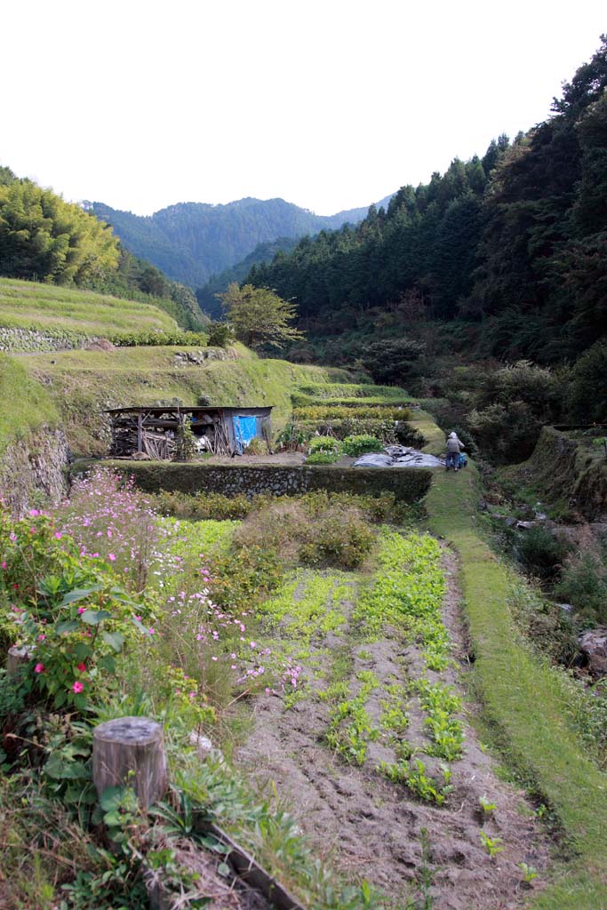 d0085715_042817.jpg