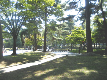 c0111017_18304751.jpg
