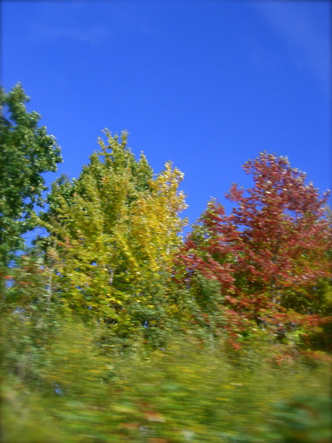 c0120817_1541161.jpg