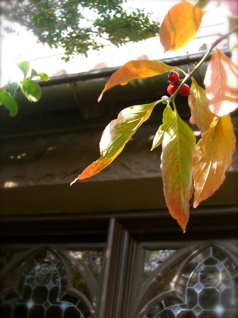 c0120817_2251421.jpg