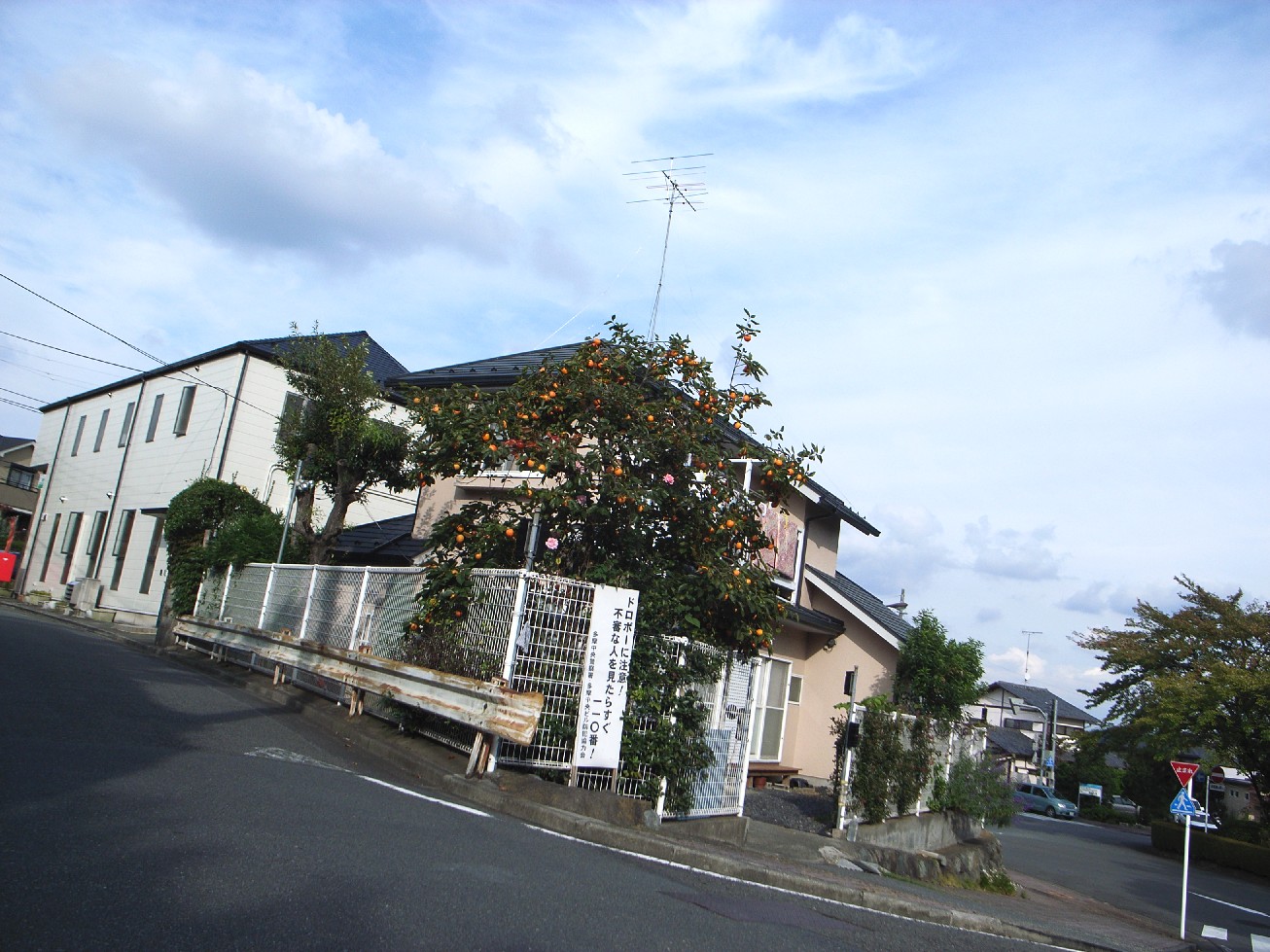 e0099818_0262037.jpg