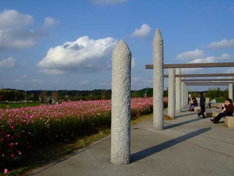 f0147025_20175598.jpg