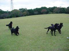 e0024630_1511125.jpg