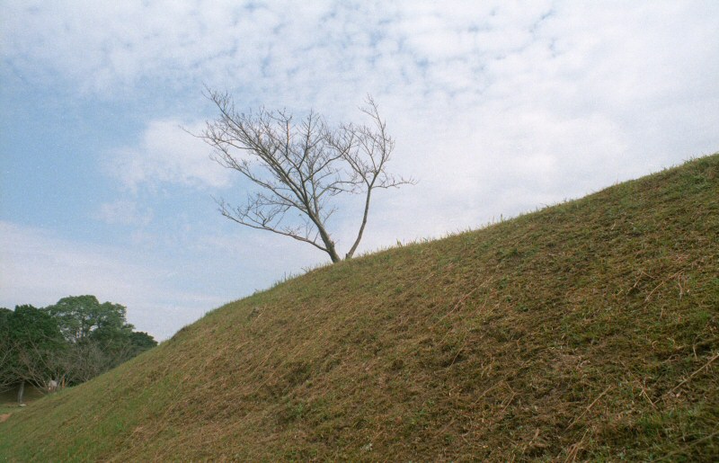 d0032931_22314695.jpg